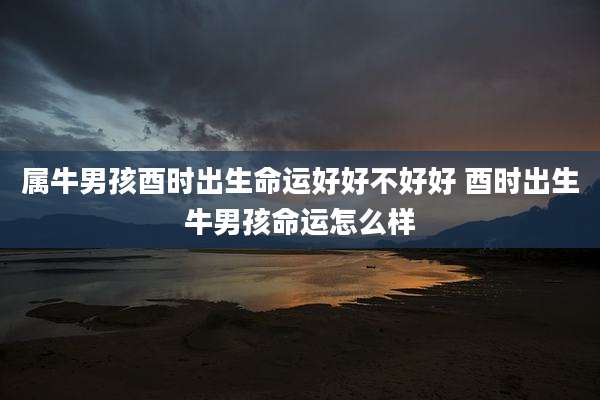 属牛男孩酉时出生命运好好不好好 酉时出生牛男孩命运怎么样