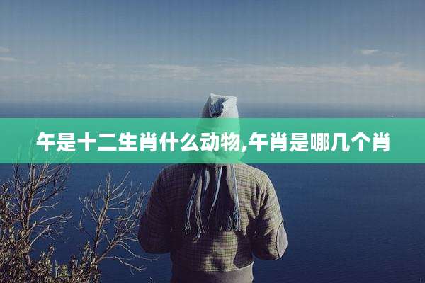 午是十二生肖什么动物,午肖是哪几个肖