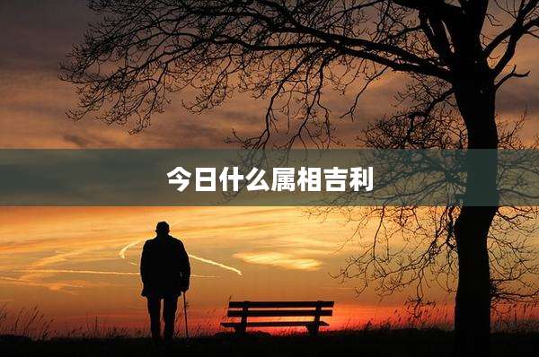 今日什么属相吉利
