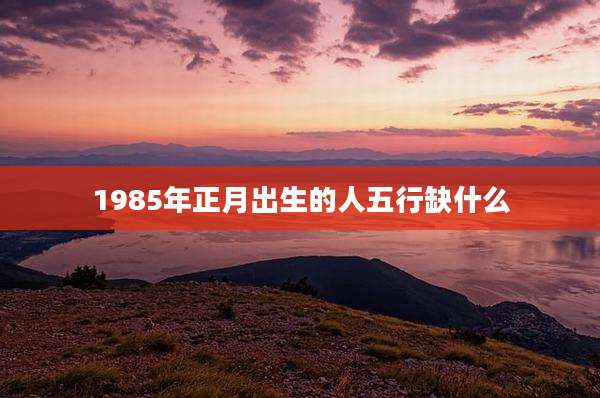 1985年正月出生的人五行缺什么