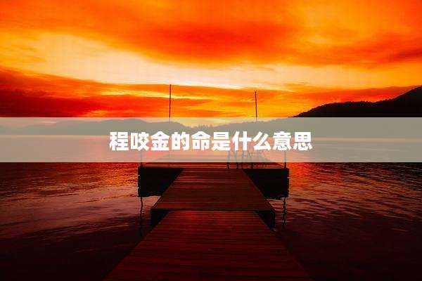 程咬金的命是什么意思