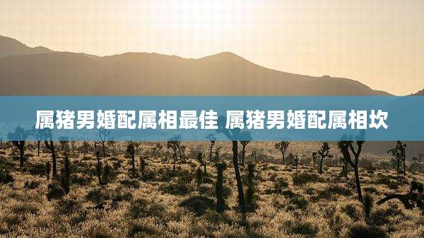 属猪男婚配属相最佳 属猪男婚配属相坎
