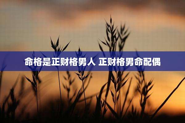 命格是正财格男人 正财格男命配偶