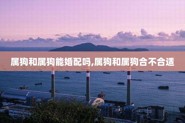 属狗和属狗能婚配吗,属狗和属狗合不合适