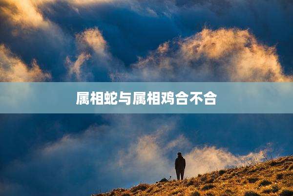 属相蛇与属相鸡合不合