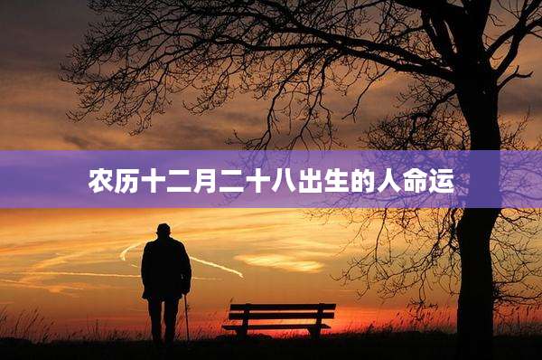 农历十二月二十八出生的人命运