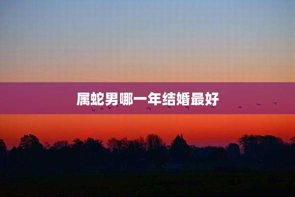属蛇男哪一年结婚最好