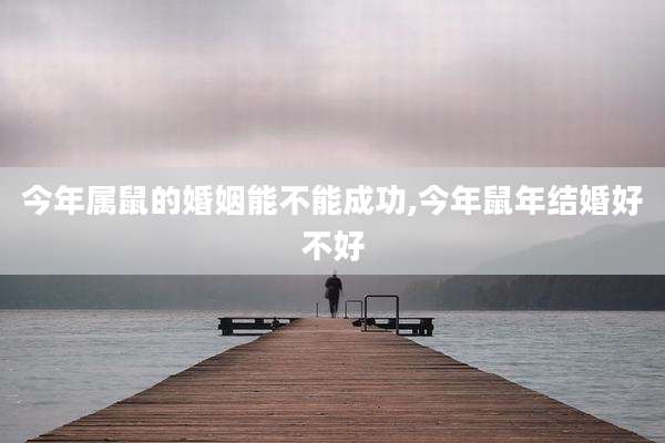 今年属鼠的婚姻能不能成功,今年鼠年结婚好不好