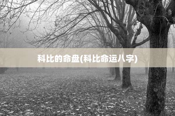 科比的命盘(科比命运八字)