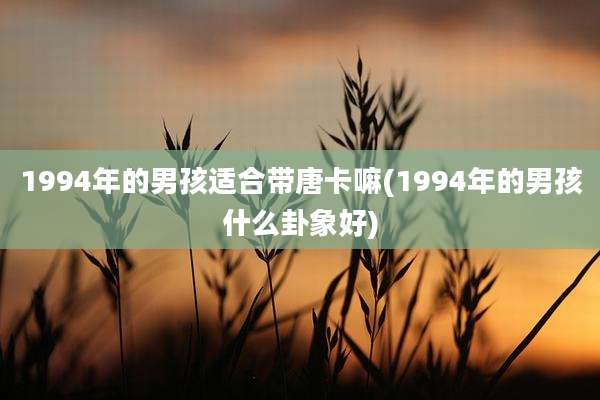 1994年的男孩适合带唐卡嘛(1994年的男孩什么卦象好)