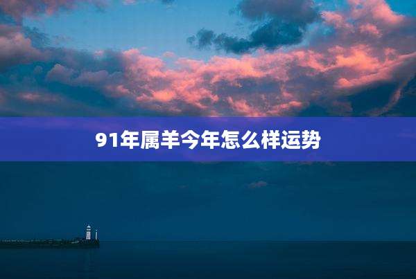 91年属羊今年怎么样运势