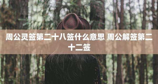 周公灵签第二十八签什么意思 周公解签第二十二签
