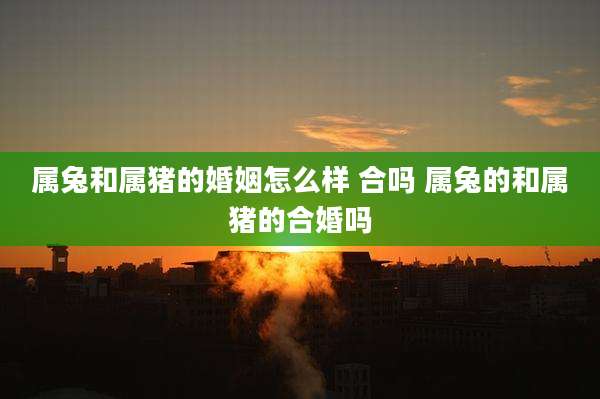 属兔和属猪的婚姻怎么样 合吗 属兔的和属猪的合婚吗