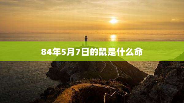 84年5月7日的鼠是什么命