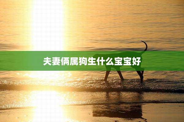 夫妻俩属狗生什么宝宝好