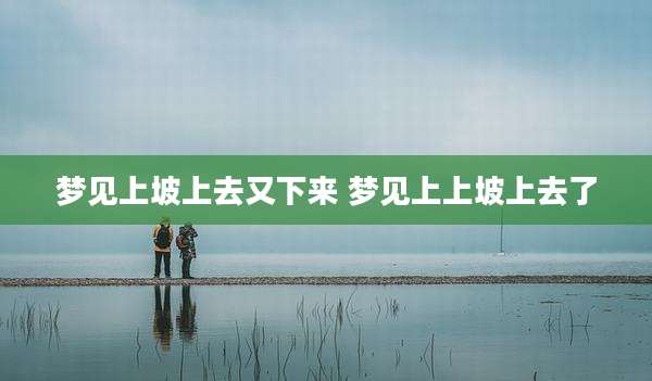 梦见上坡上去又下来 梦见上上坡上去了