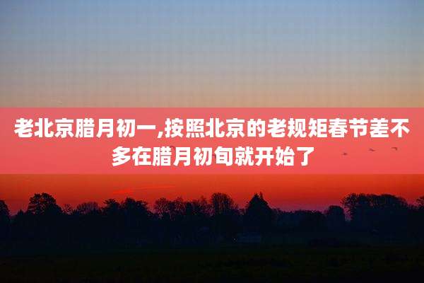 老北京腊月初一,按照北京的老规矩春节差不多在腊月初旬就开始了