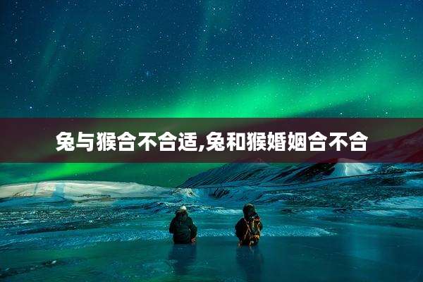 兔与猴合不合适,兔和猴婚姻合不合