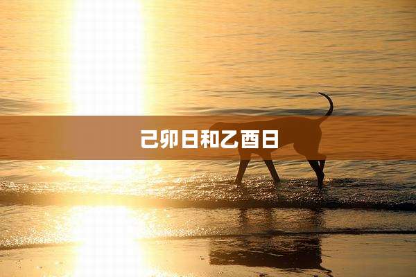 己卯日和乙酉日