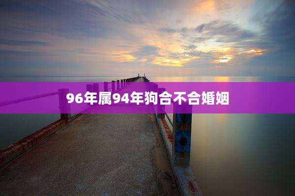 96年属94年狗合不合婚姻