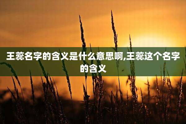 王蕊名字的含义是什么意思啊,王蕊这个名字的含义