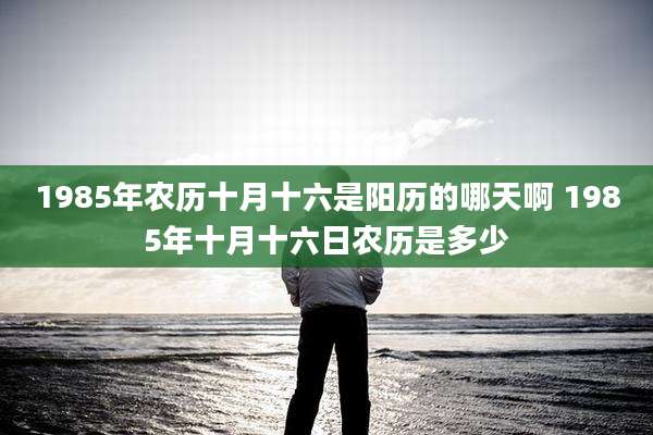 1985年农历十月十六是阳历的哪天啊 1985年十月十六日农历是多少