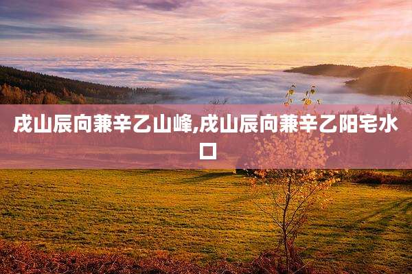 戌山辰向兼辛乙山峰,戌山辰向兼辛乙阳宅水口