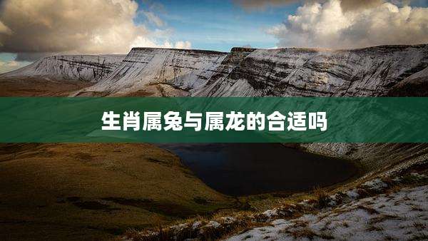生肖属兔与属龙的合适吗