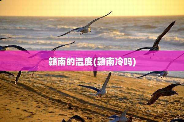 赣南的温度(赣南冷吗)