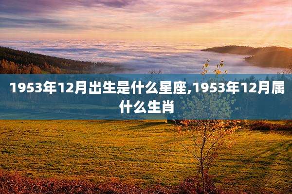 1953年12月出生是什么星座,1953年12月属什么生肖