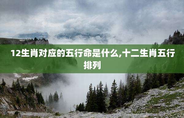 12生肖对应的五行命是什么,十二生肖五行排列