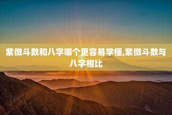 紫微斗数和八字哪个更容易学懂,紫微斗数与八字相比
