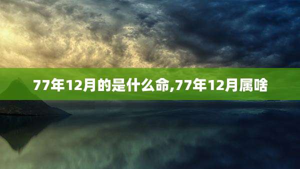 77年12月的是什么命,77年12月属啥