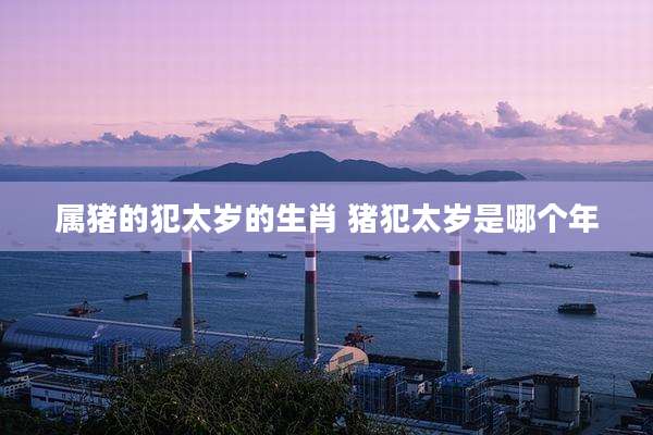 属猪的犯太岁的生肖 猪犯太岁是哪个年