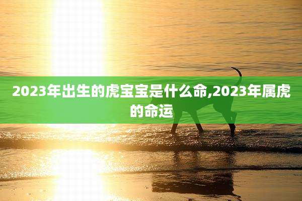 2023年出生的虎宝宝是什么命,2023年属虎的命运