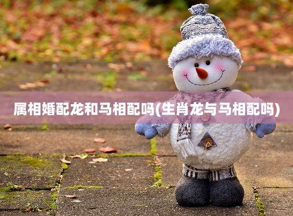 属相婚配龙和马相配吗(生肖龙与马相配吗)