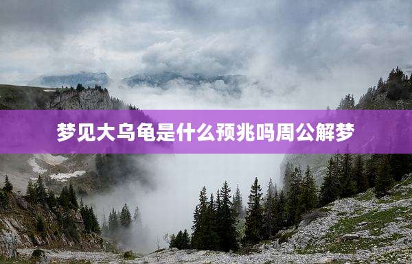 梦见大乌龟是什么预兆吗周公解梦