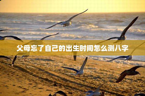 父母忘了自己的出生时间怎么测八字
