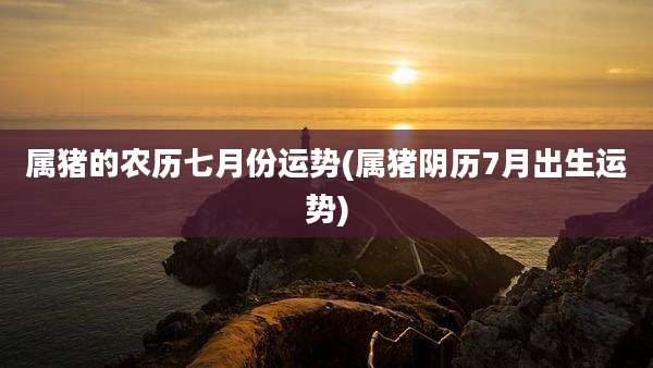 属猪的农历七月份运势(属猪阴历7月出生运势)