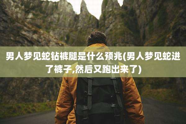 男人梦见蛇钻裤腿是什么预兆(男人梦见蛇进了裤子,然后又跑出来了)