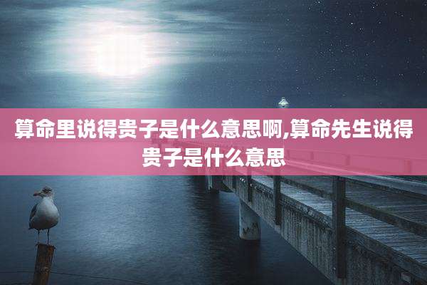 算命里说得贵子是什么意思啊,算命先生说得贵子是什么意思