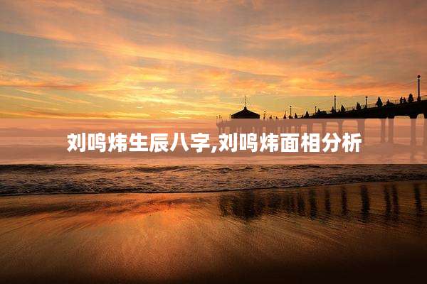 刘鸣炜生辰八字,刘鸣炜面相分析