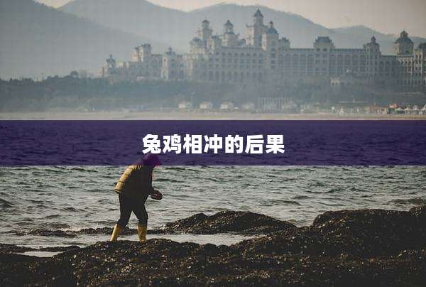 兔鸡相冲的后果