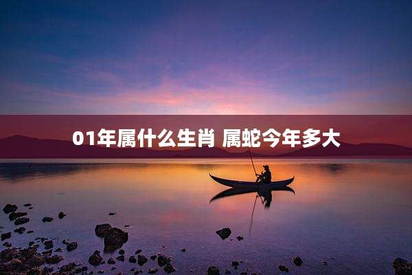 01年属什么生肖 属蛇今年多大