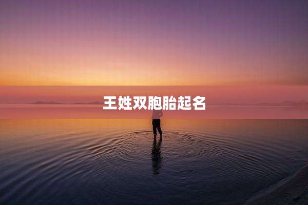 王姓双胞胎起名