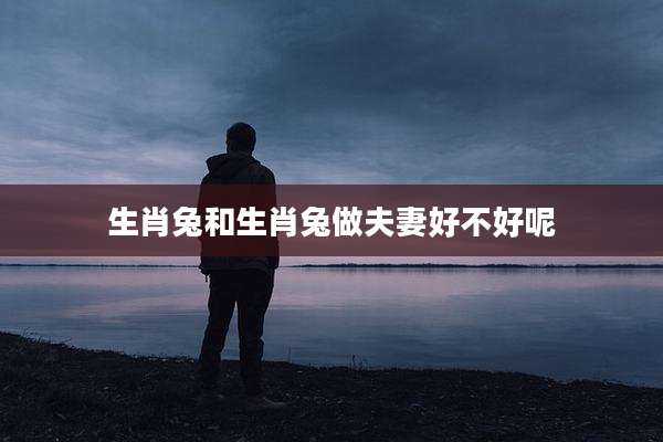 生肖兔和生肖兔做夫妻好不好呢