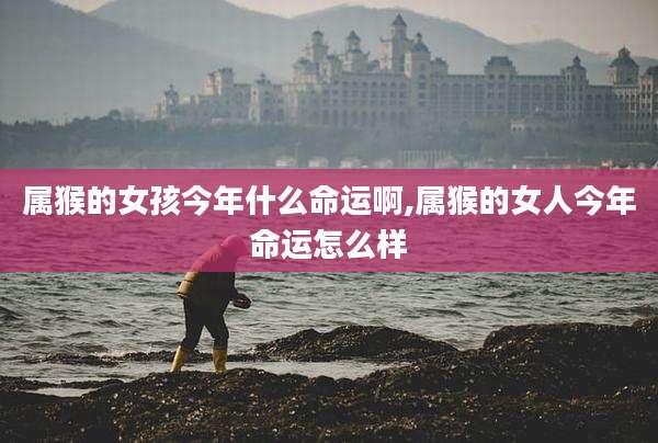 属猴的女孩今年什么命运啊,属猴的女人今年命运怎么样