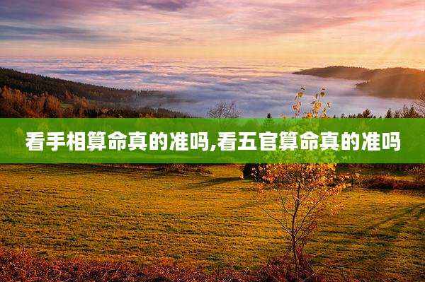 看手相算命真的准吗,看五官算命真的准吗