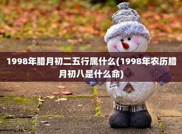 1998年腊月初二五行属什么(1998年农历腊月初八是什么命)