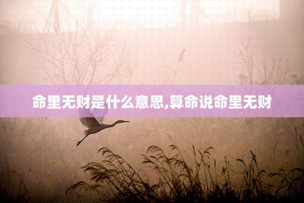 命里无财是什么意思,算命说命里无财
